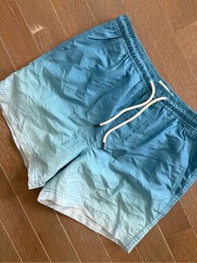 AE American Eagle Men’s Small Blue Ombre Swim Shorts Trunks